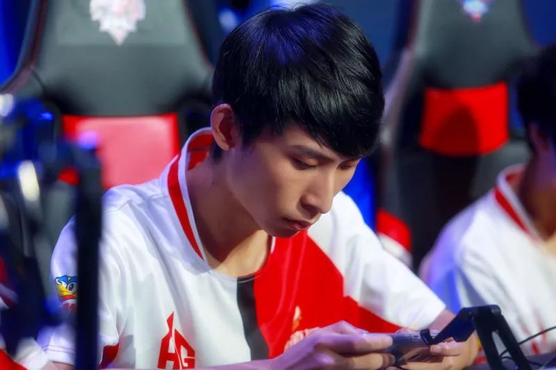 网窝